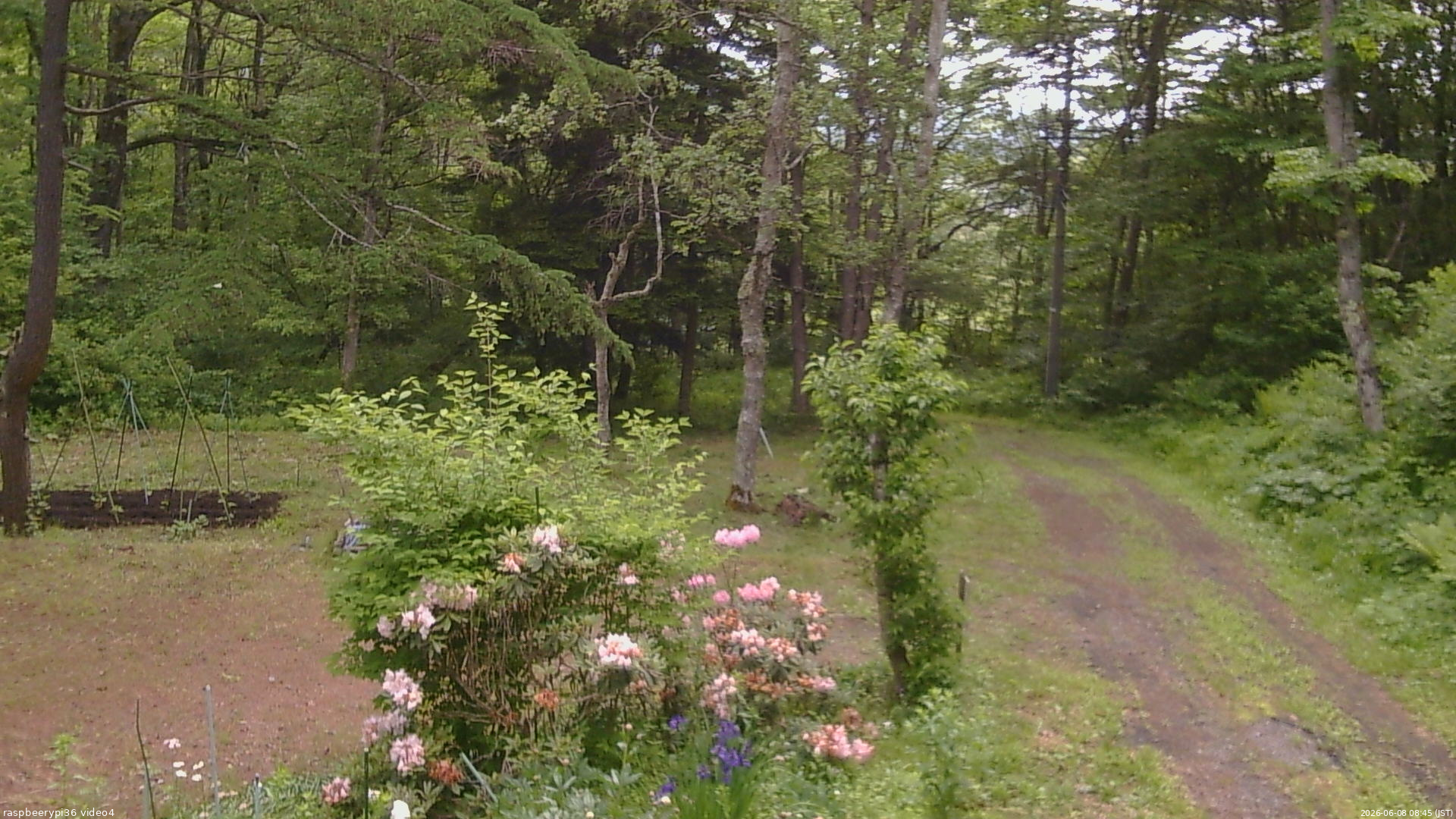 長野県菅平高原 ゆたか山荘 坂上 2026/06/08 08:45