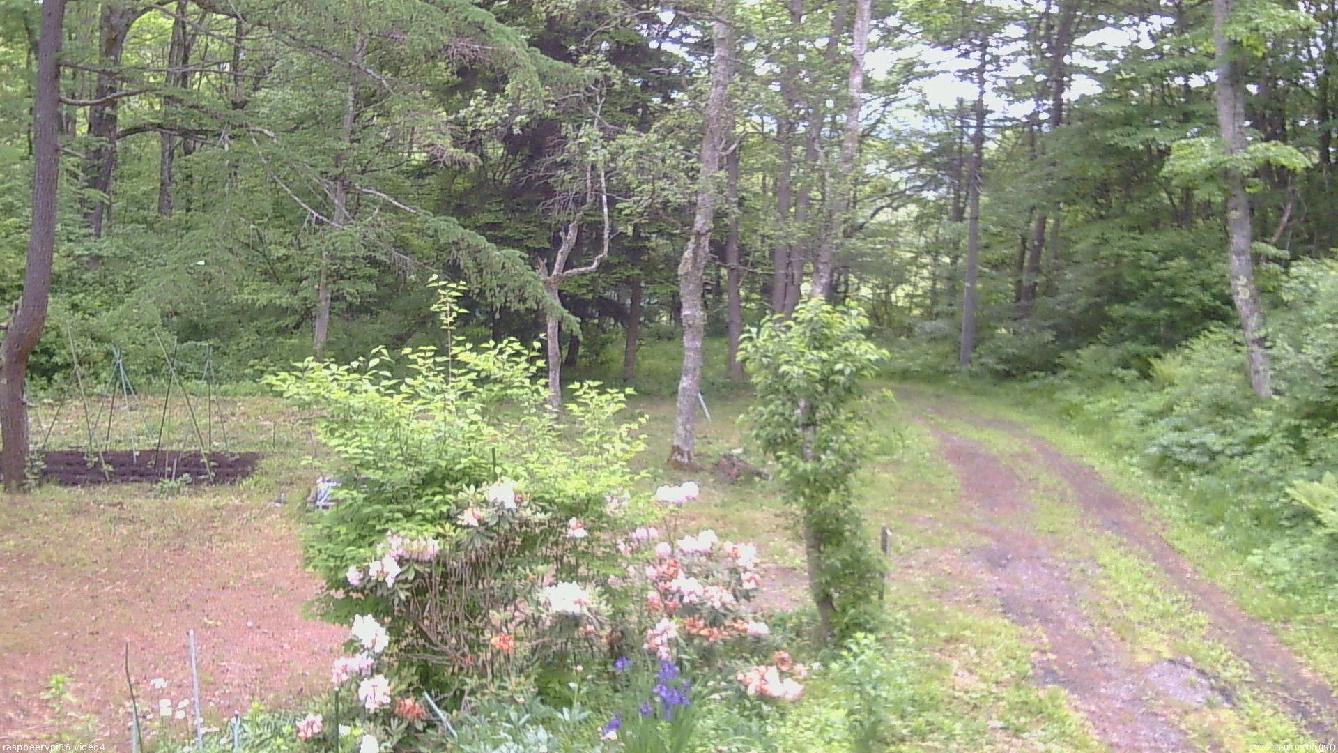 長野県菅平高原 ゆたか山荘 坂上 2026/06/08 09:00