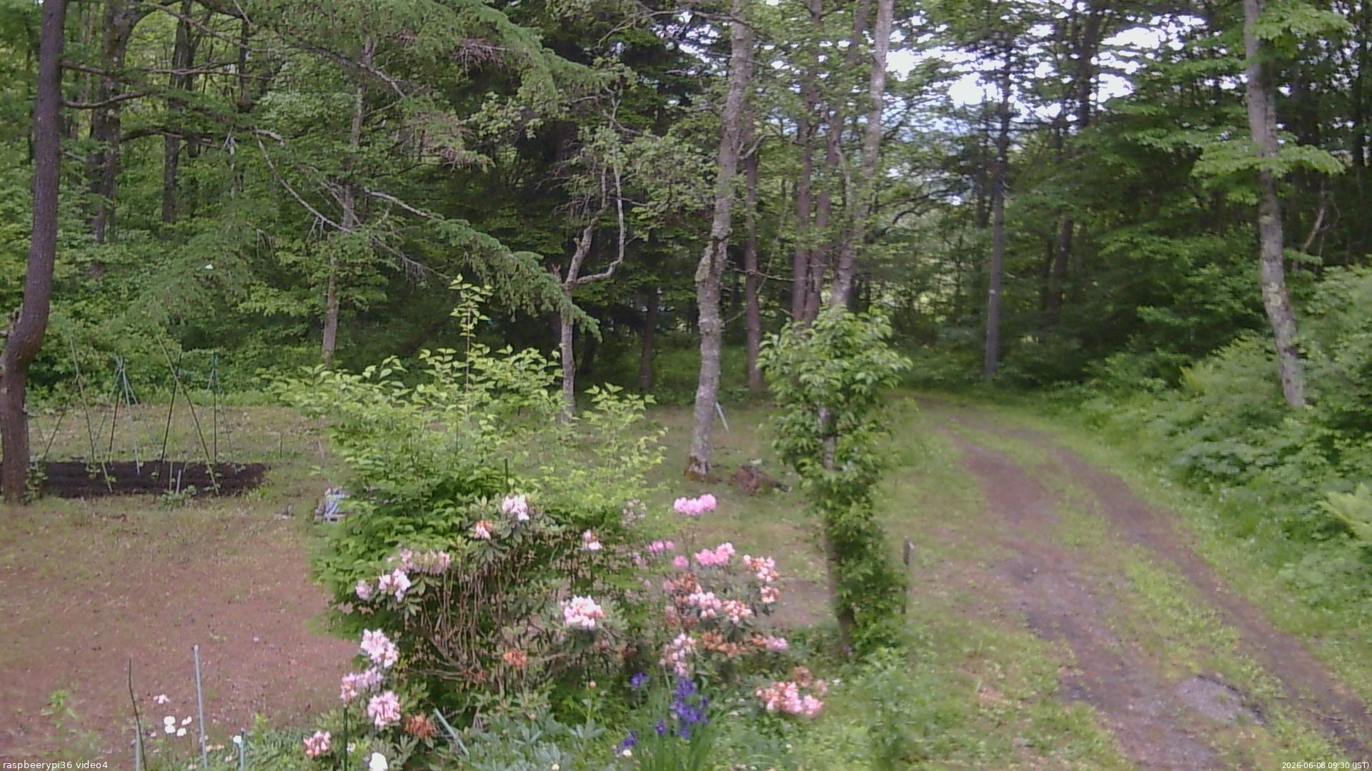 長野県菅平高原 ゆたか山荘 坂上 2026/06/08 09:30