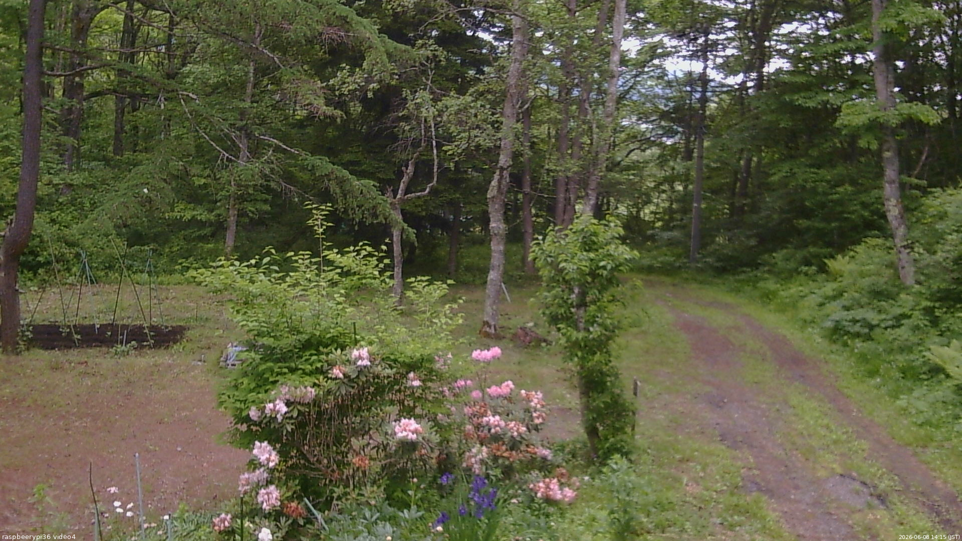 長野県菅平高原 ゆたか山荘 坂上 2026/06/08 14:15