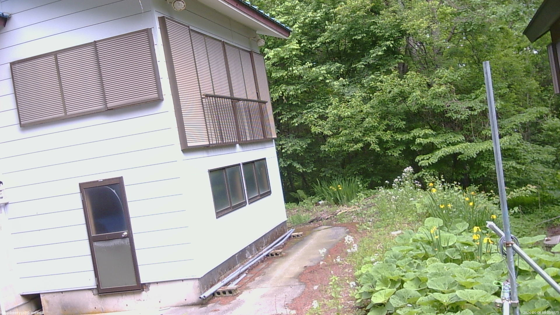 長野県菅平高原 ゆたか山荘 坂下 2026/06/08 09:00