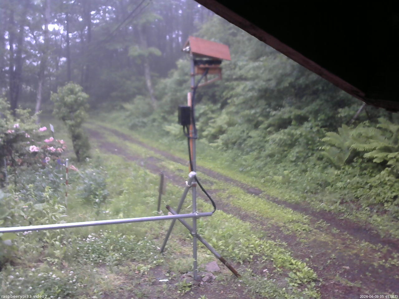 長野県菅平高原 ゆたか山荘 南側 2026/06/09 05:45