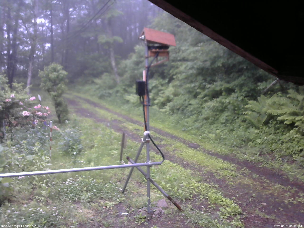 長野県菅平高原 ゆたか山荘 南側 2026/06/09 06:00