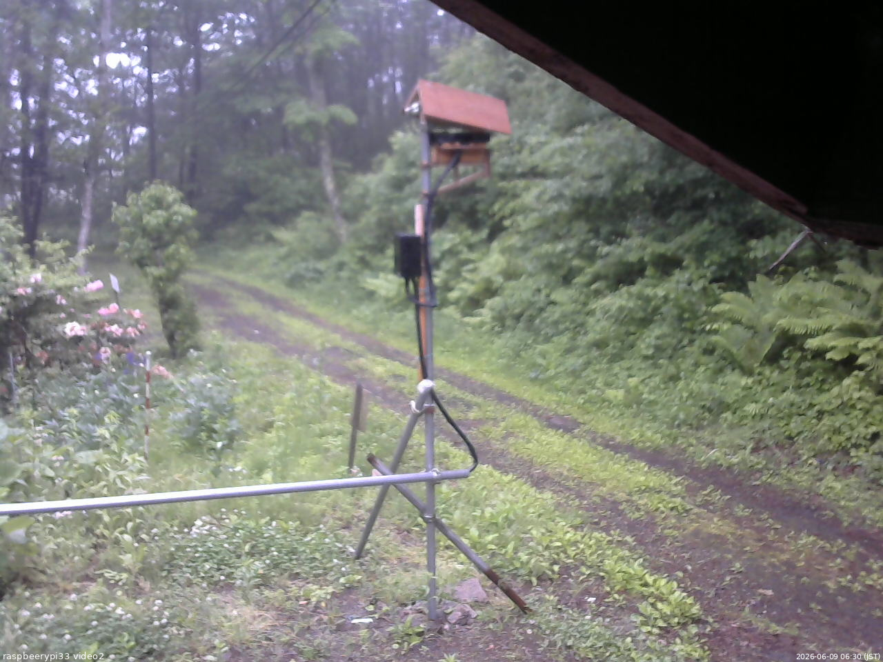 長野県菅平高原 ゆたか山荘 南側 2026/06/09 06:30