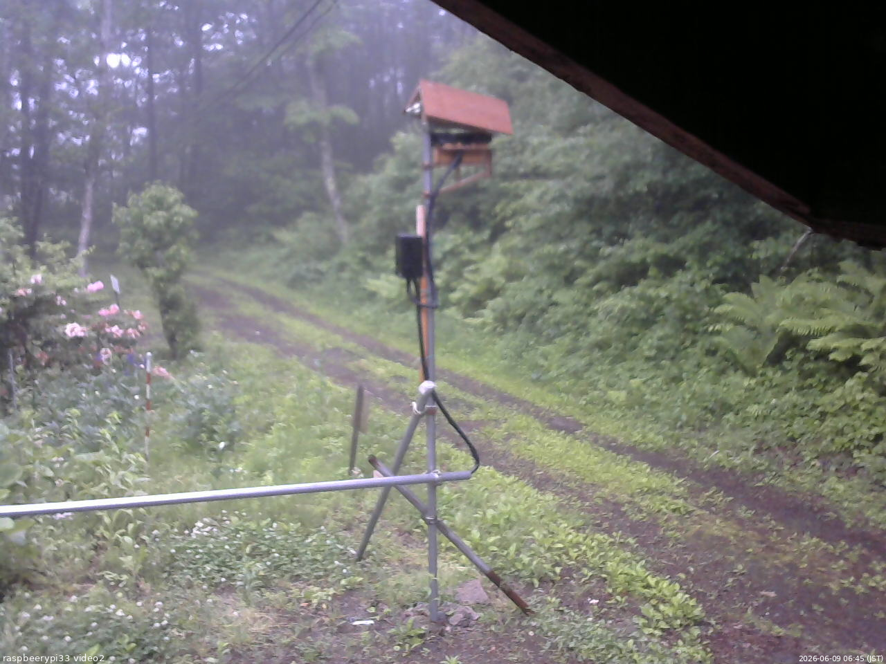 長野県菅平高原 ゆたか山荘 南側 2026/06/09 06:45