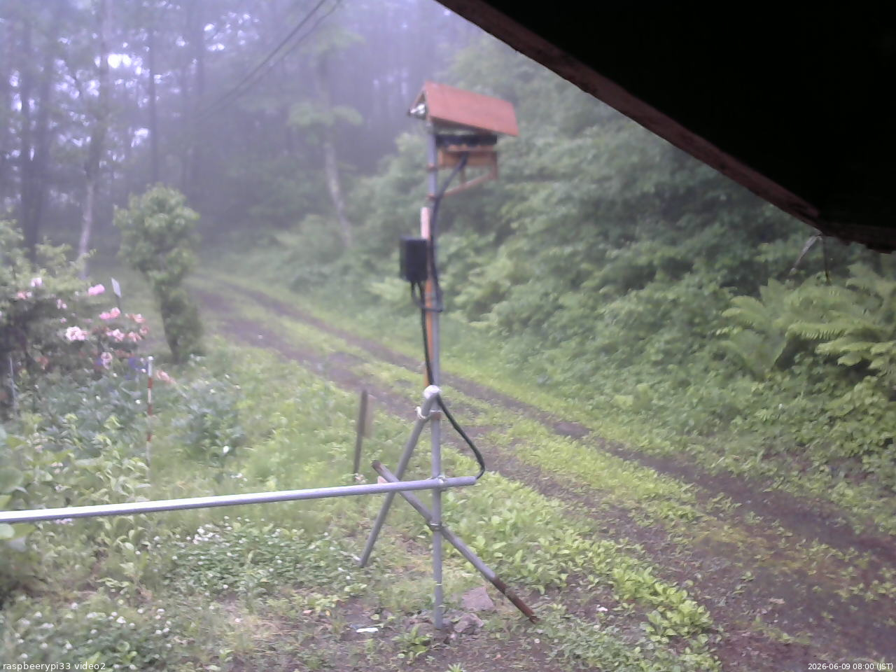 長野県菅平高原 ゆたか山荘 南側 2026/06/09 08:00