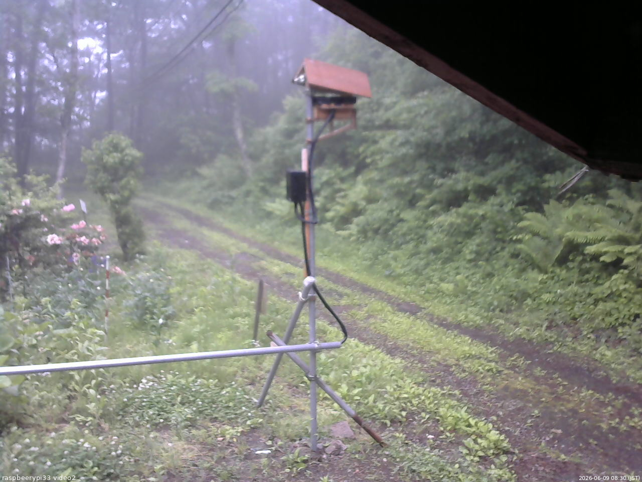 長野県菅平高原 ゆたか山荘 南側 2026/06/09 08:30