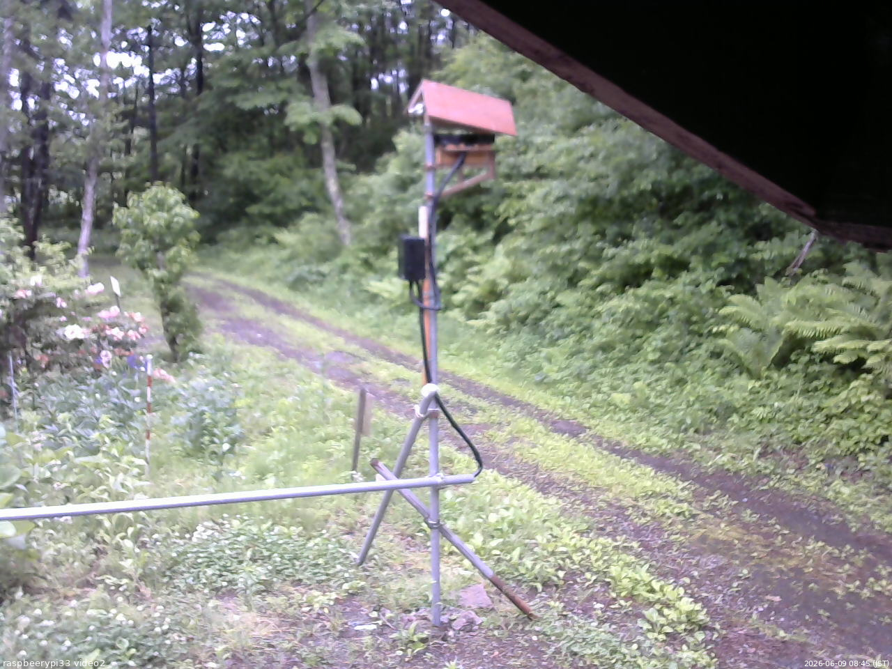 長野県菅平高原 ゆたか山荘 南側 2026/06/09 08:45