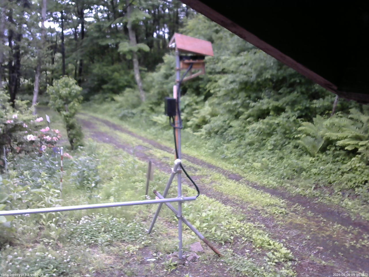 長野県菅平高原 ゆたか山荘 南側 2026/06/09 09:00