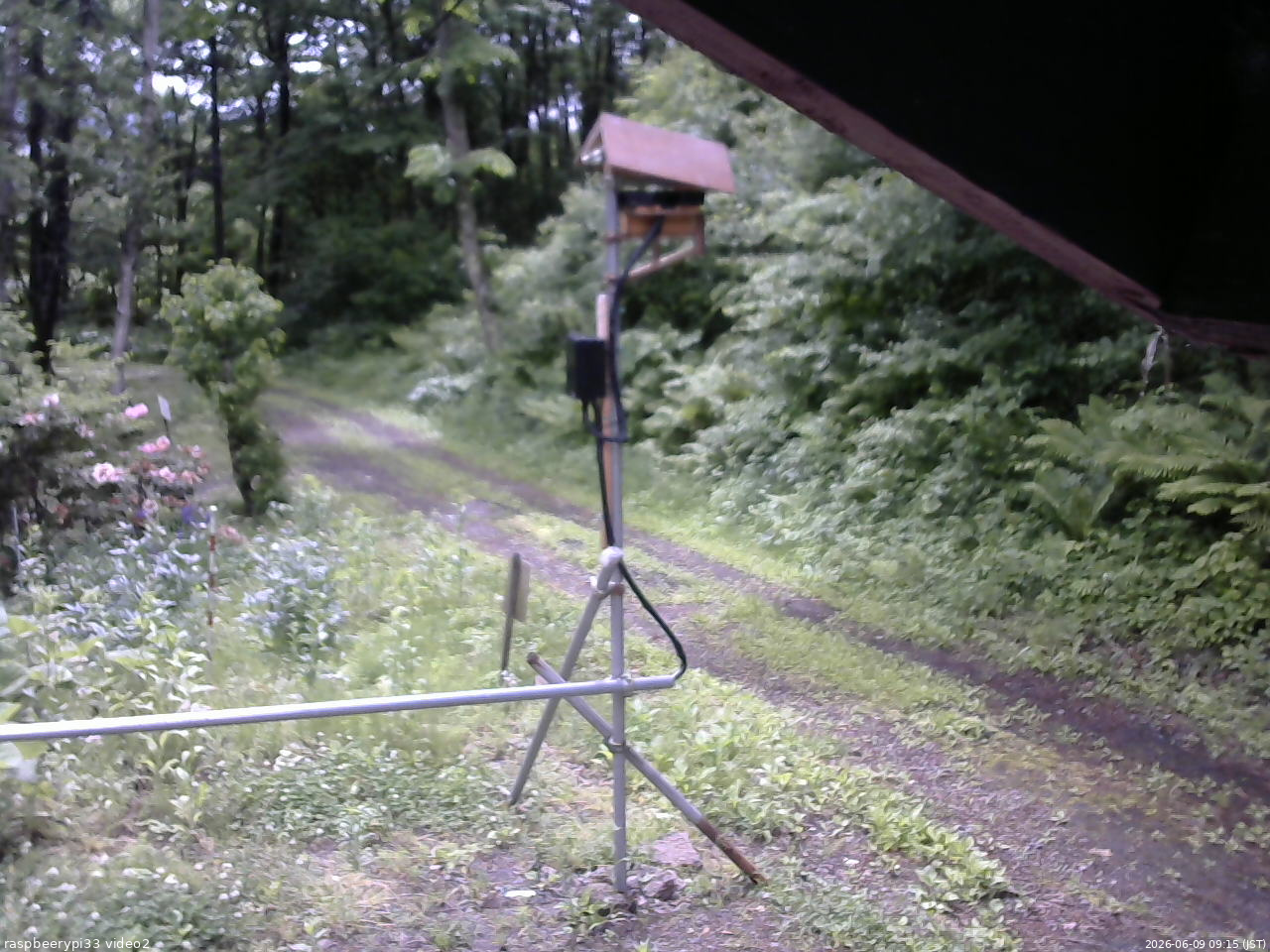 長野県菅平高原 ゆたか山荘 南側 2026/06/09 09:15