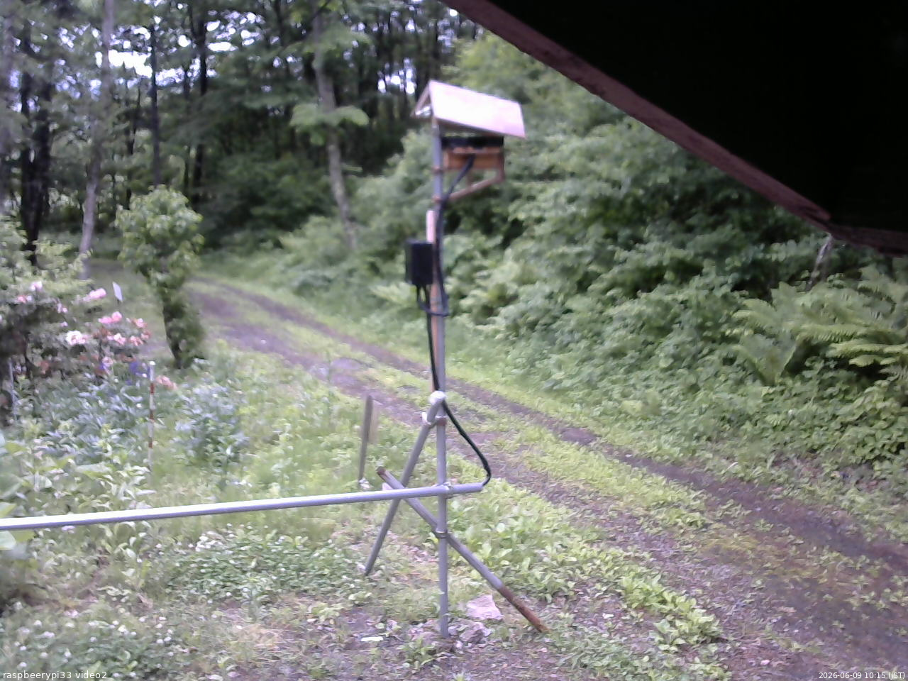 長野県菅平高原 ゆたか山荘 南側 2026/06/09 10:15