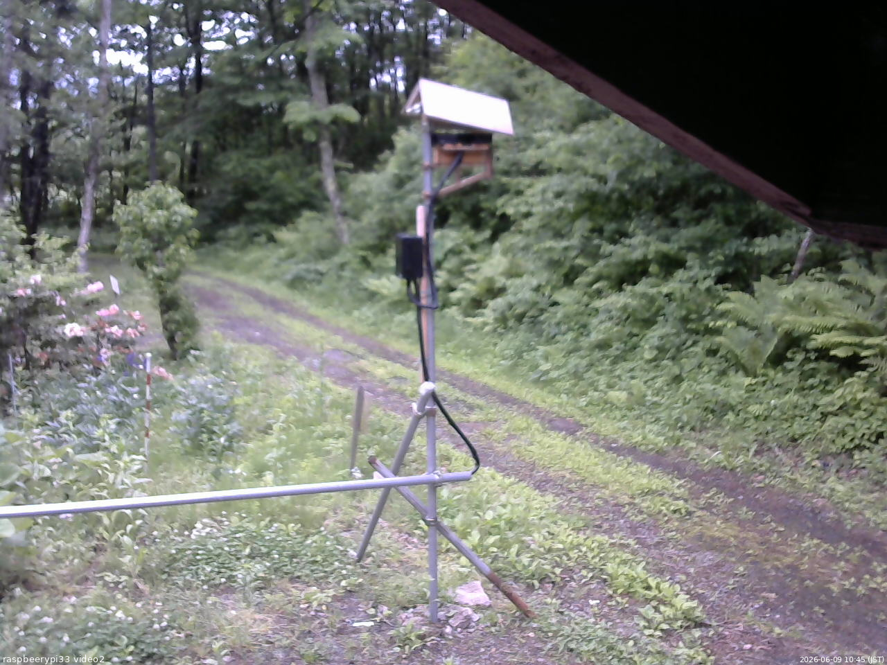 長野県菅平高原 ゆたか山荘 南側 2026/06/09 10:45