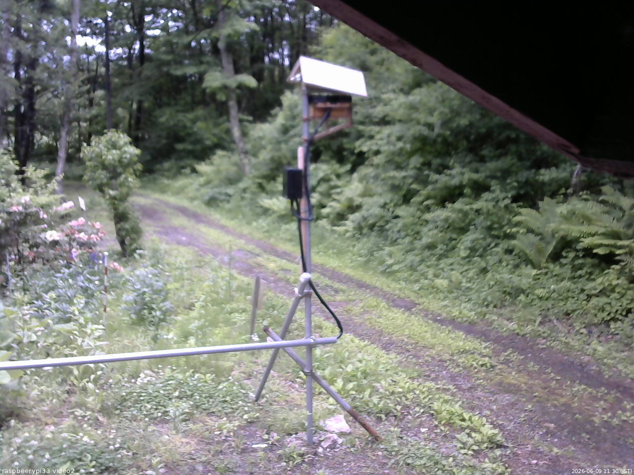 長野県菅平高原 ゆたか山荘 南側 2026/06/09 11:30