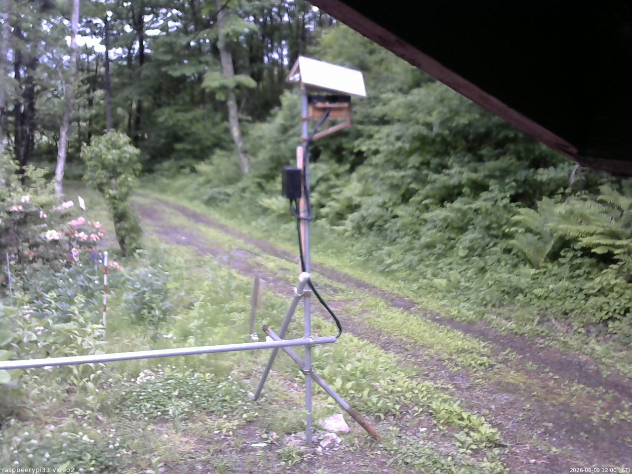 長野県菅平高原 ゆたか山荘 南側 2026/06/09 12:00