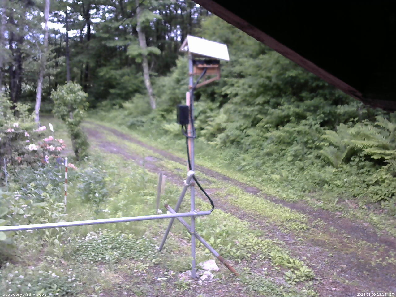 長野県菅平高原 ゆたか山荘 南側 2026/06/09 13:15