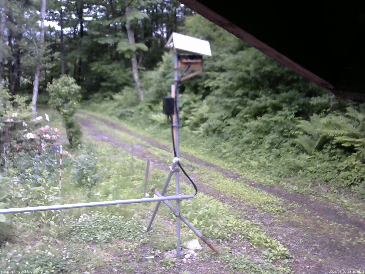 長野県菅平高原 ゆたか山荘 南側 2026/06/09 13:30
