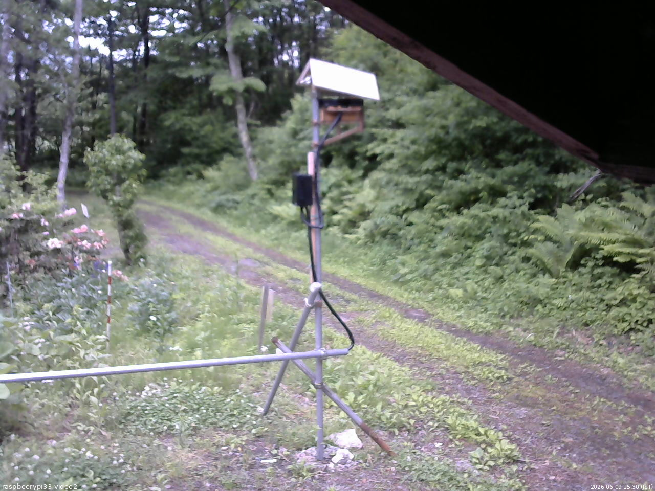長野県菅平高原 ゆたか山荘 南側 2026/06/09 15:30