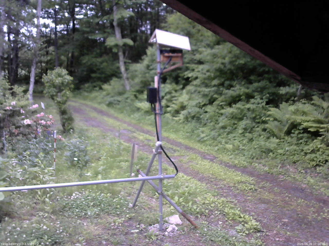 長野県菅平高原 ゆたか山荘 南側 2026/06/09 17:00