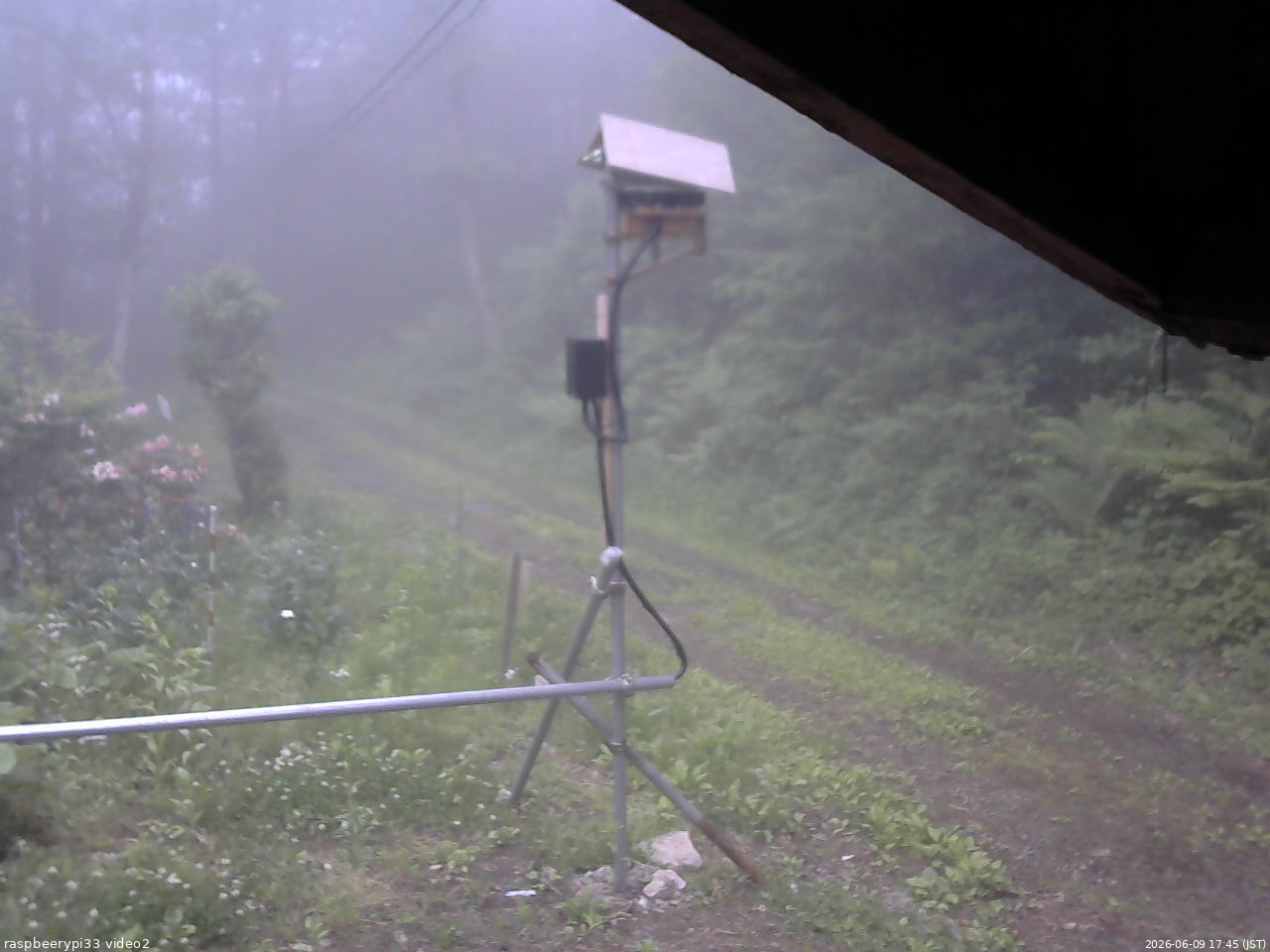 長野県菅平高原 ゆたか山荘 南側 2026/06/09 17:45