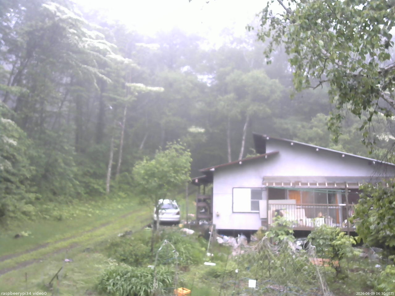 長野県菅平高原 ゆたか山荘 西側(坂上) 2026/06/09 06:30