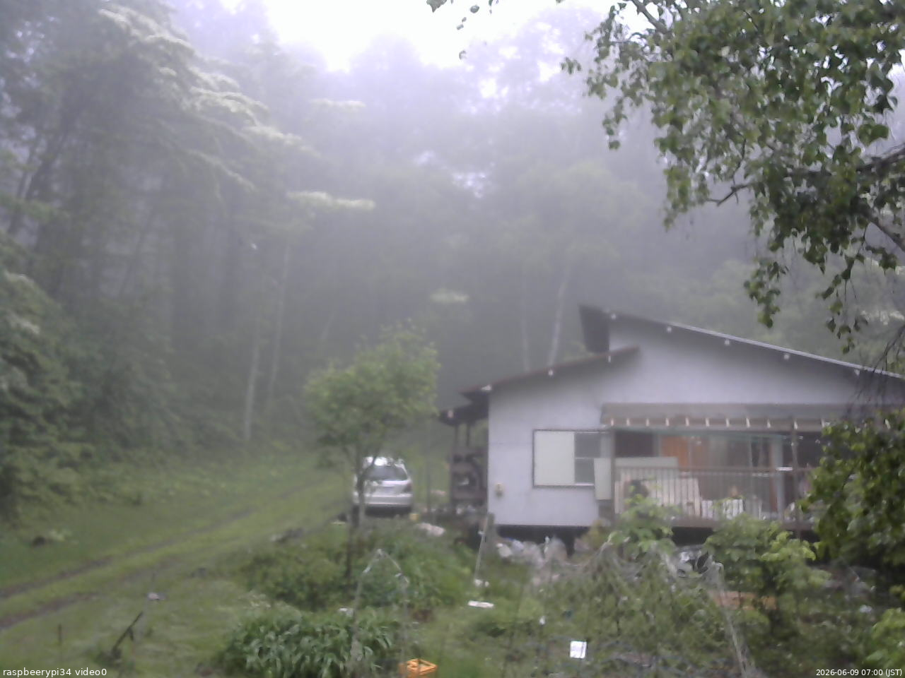 長野県菅平高原 ゆたか山荘 西側(坂上) 2026/06/09 07:00