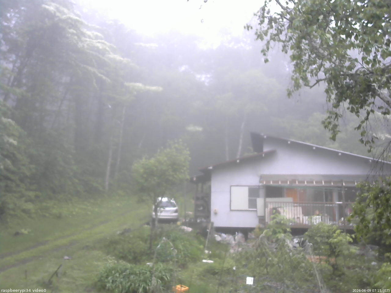 長野県菅平高原 ゆたか山荘 西側(坂上) 2026/06/09 07:15