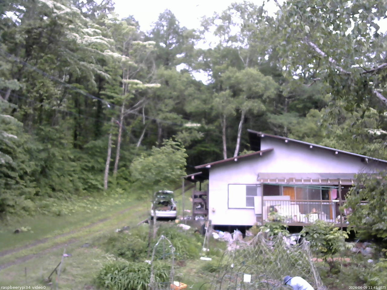 長野県菅平高原 ゆたか山荘 西側(坂上) 2026/06/09 11:45