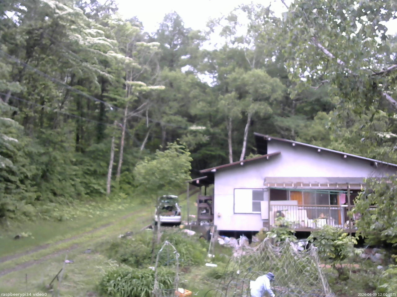 長野県菅平高原 ゆたか山荘 西側(坂上) 2026/06/09 12:00
