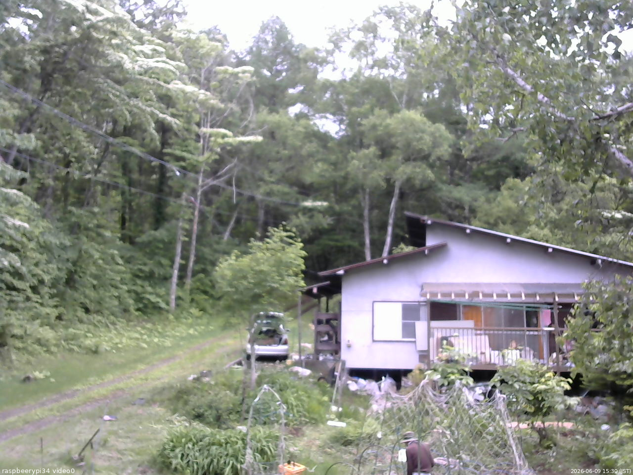 長野県菅平高原 ゆたか山荘 西側(坂上) 2026/06/09 15:30