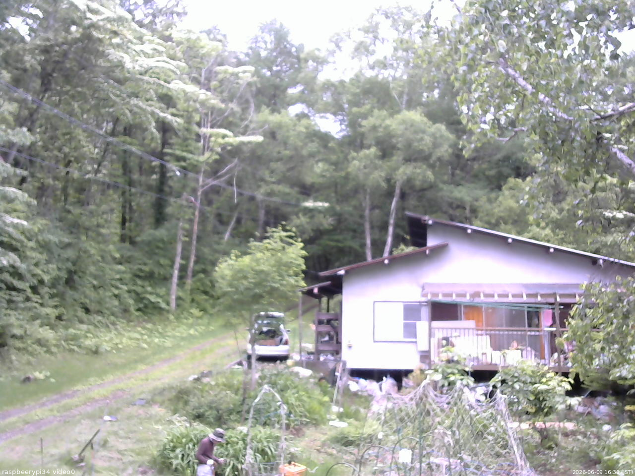 長野県菅平高原 ゆたか山荘 西側(坂上) 2026/06/09 16:30