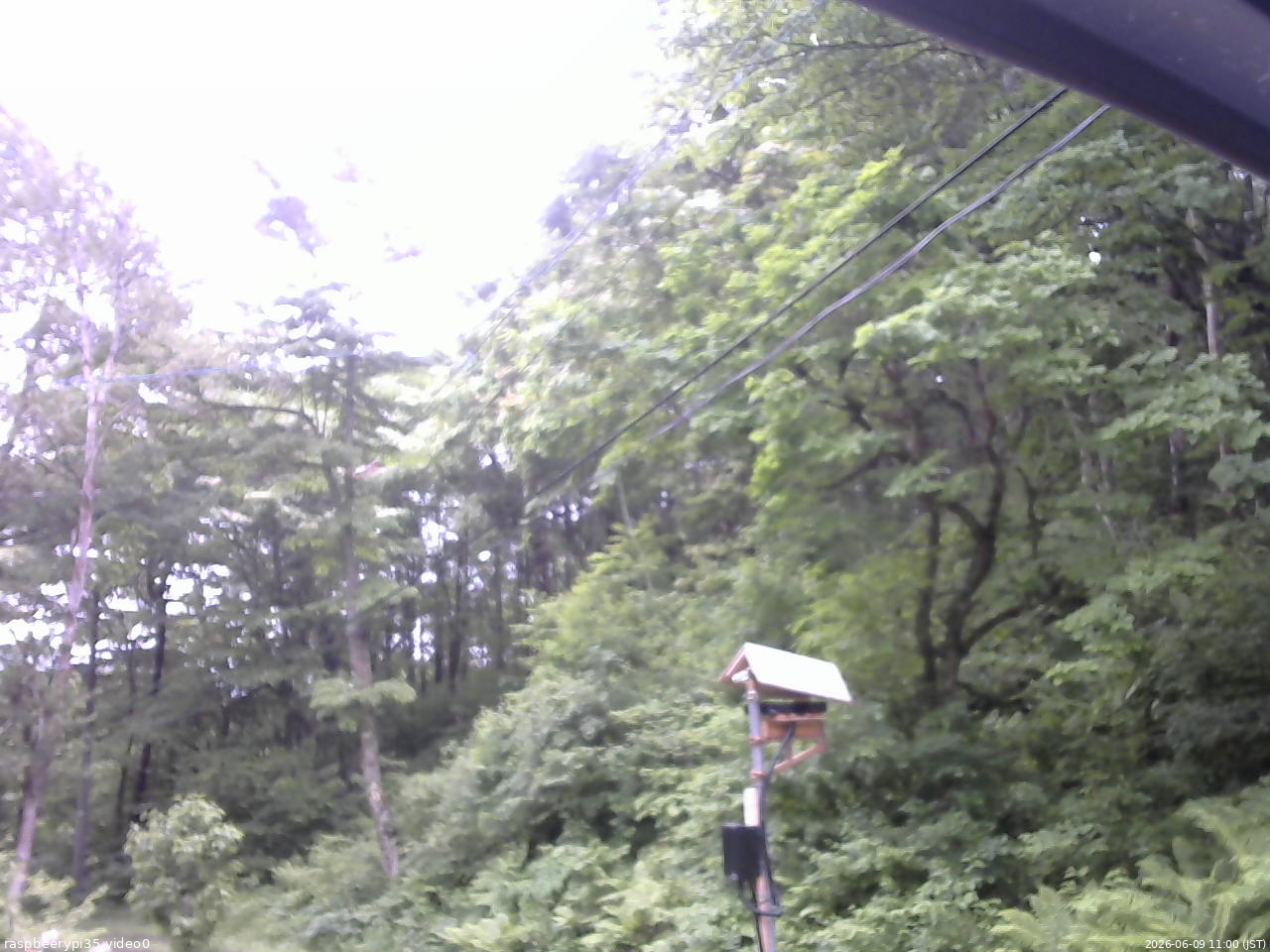 長野県菅平高原 ゆたか山荘 温度計 2026/06/09 11:00