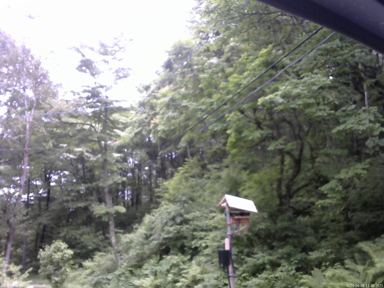 長野県菅平高原 ゆたか山荘 温度計 2026/06/09 11:30