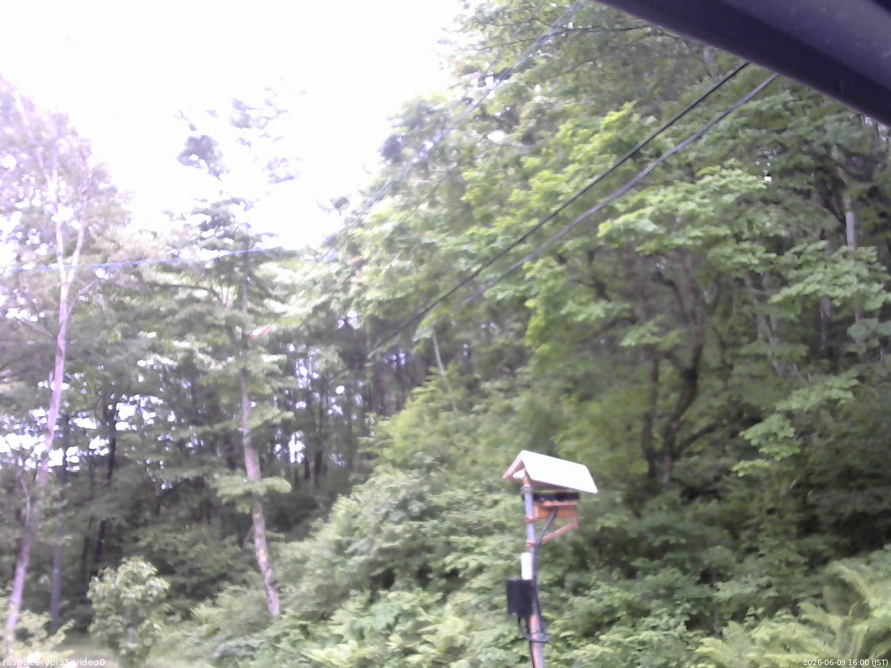 長野県菅平高原 ゆたか山荘 温度計 2026/06/09 16:00