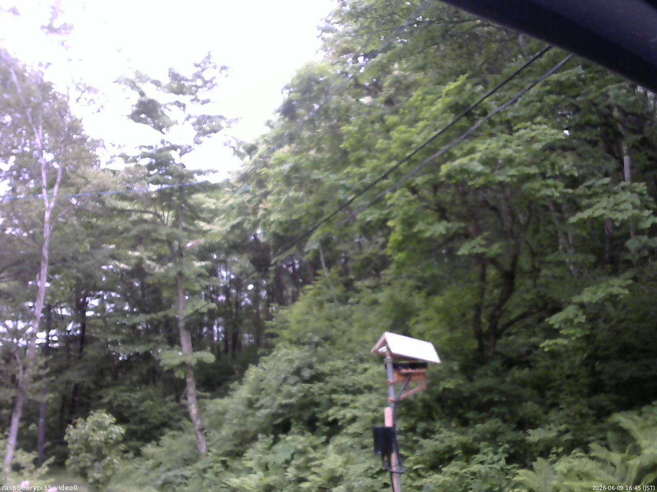 長野県菅平高原 ゆたか山荘 温度計 2026/06/09 16:45