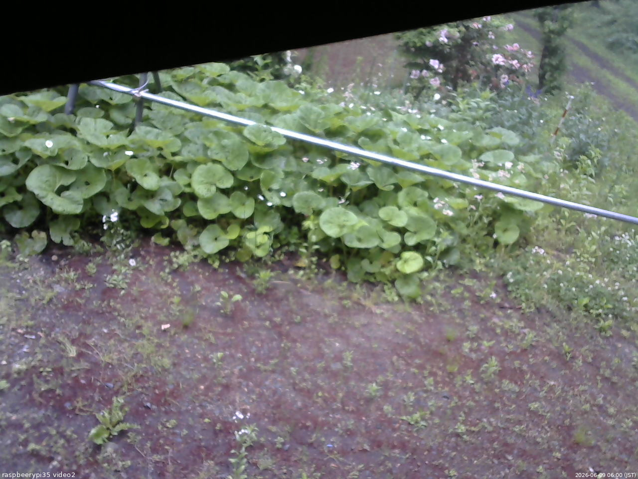 長野県菅平高原 ゆたか山荘 駐車場 2026/06/09 06:00