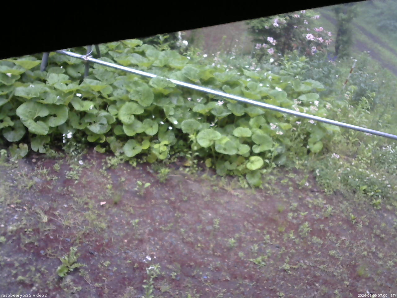 長野県菅平高原 ゆたか山荘 駐車場 2026/06/09 07:00
