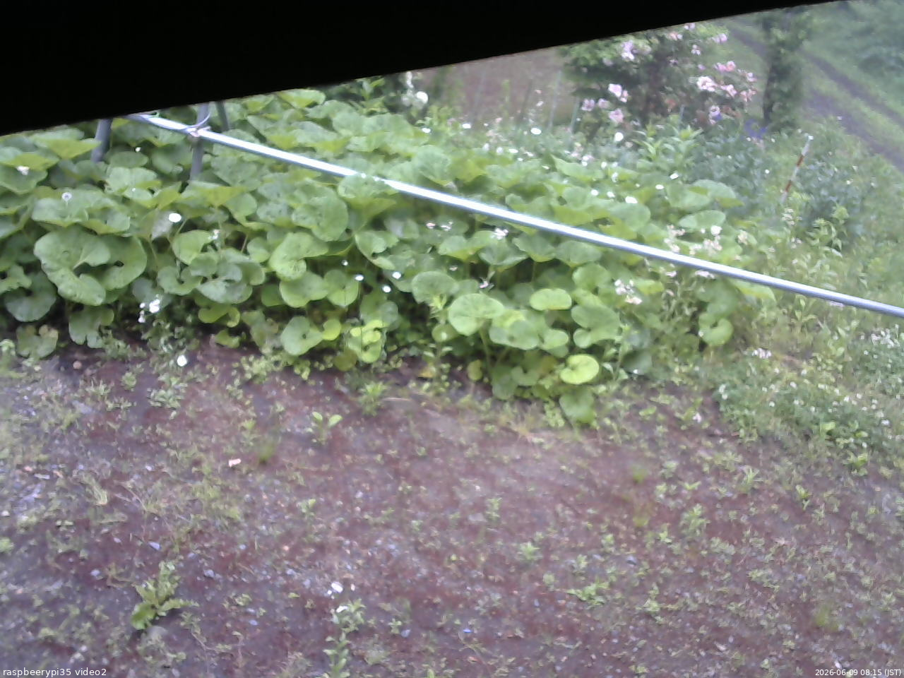長野県菅平高原 ゆたか山荘 駐車場 2026/06/09 08:15