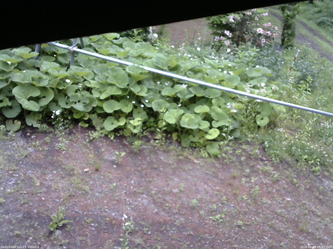 長野県菅平高原 ゆたか山荘 駐車場 2026/06/09 09:45