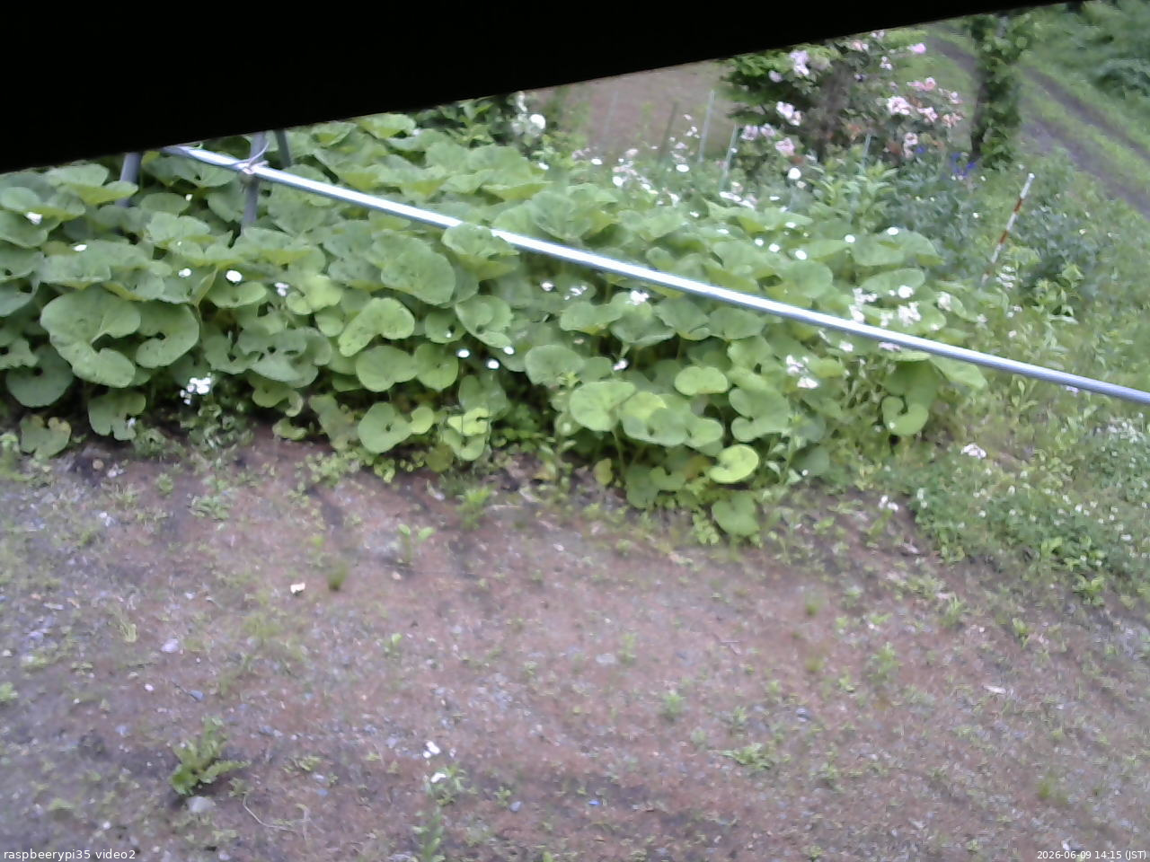 長野県菅平高原 ゆたか山荘 駐車場 2026/06/09 14:15
