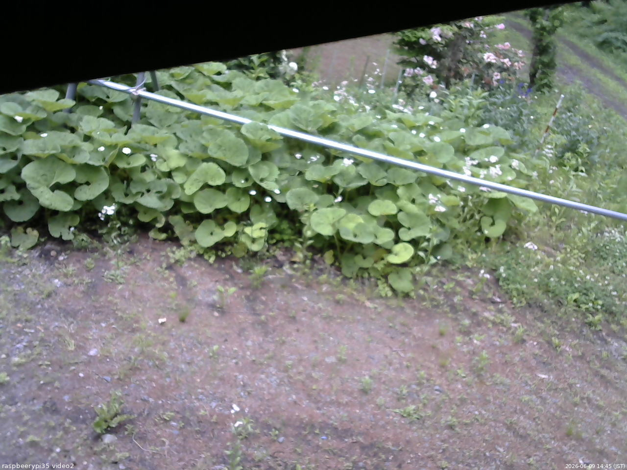 長野県菅平高原 ゆたか山荘 駐車場 2026/06/09 14:45