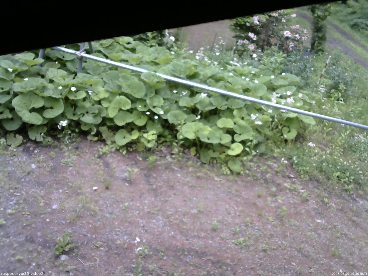 長野県菅平高原 ゆたか山荘 駐車場 2026/06/09 15:30