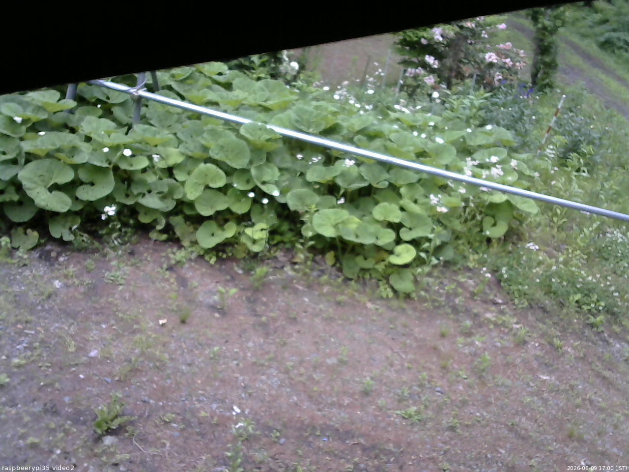 長野県菅平高原 ゆたか山荘 駐車場 2026/06/09 17:00