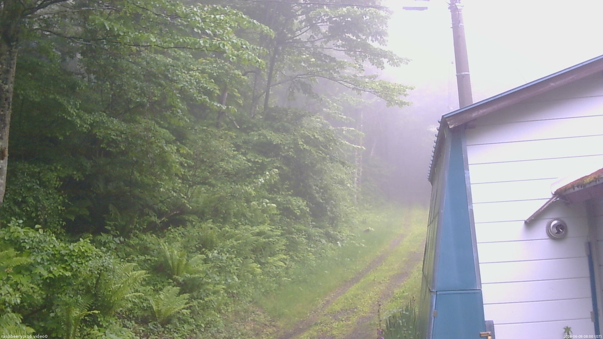 長野県菅平高原 ゆたか山荘 ゆたか山荘 2026/06/09 08:00
