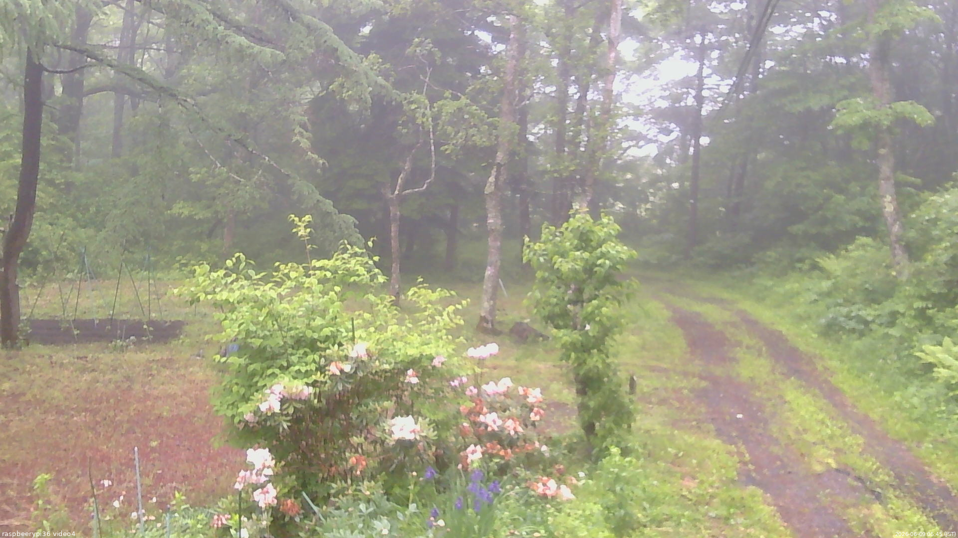 長野県菅平高原 ゆたか山荘 坂上 2026/06/09 05:45