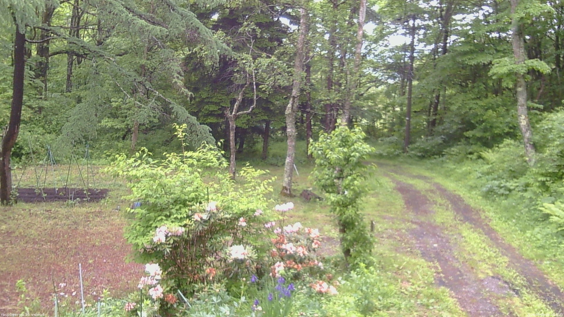 長野県菅平高原 ゆたか山荘 坂上 2026/06/09 09:00