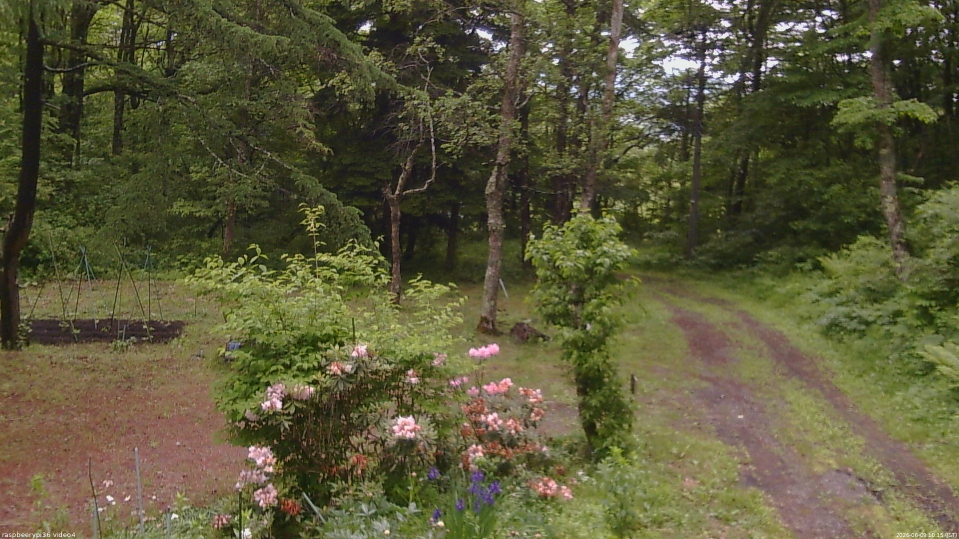 長野県菅平高原 ゆたか山荘 坂上 2026/06/09 10:15