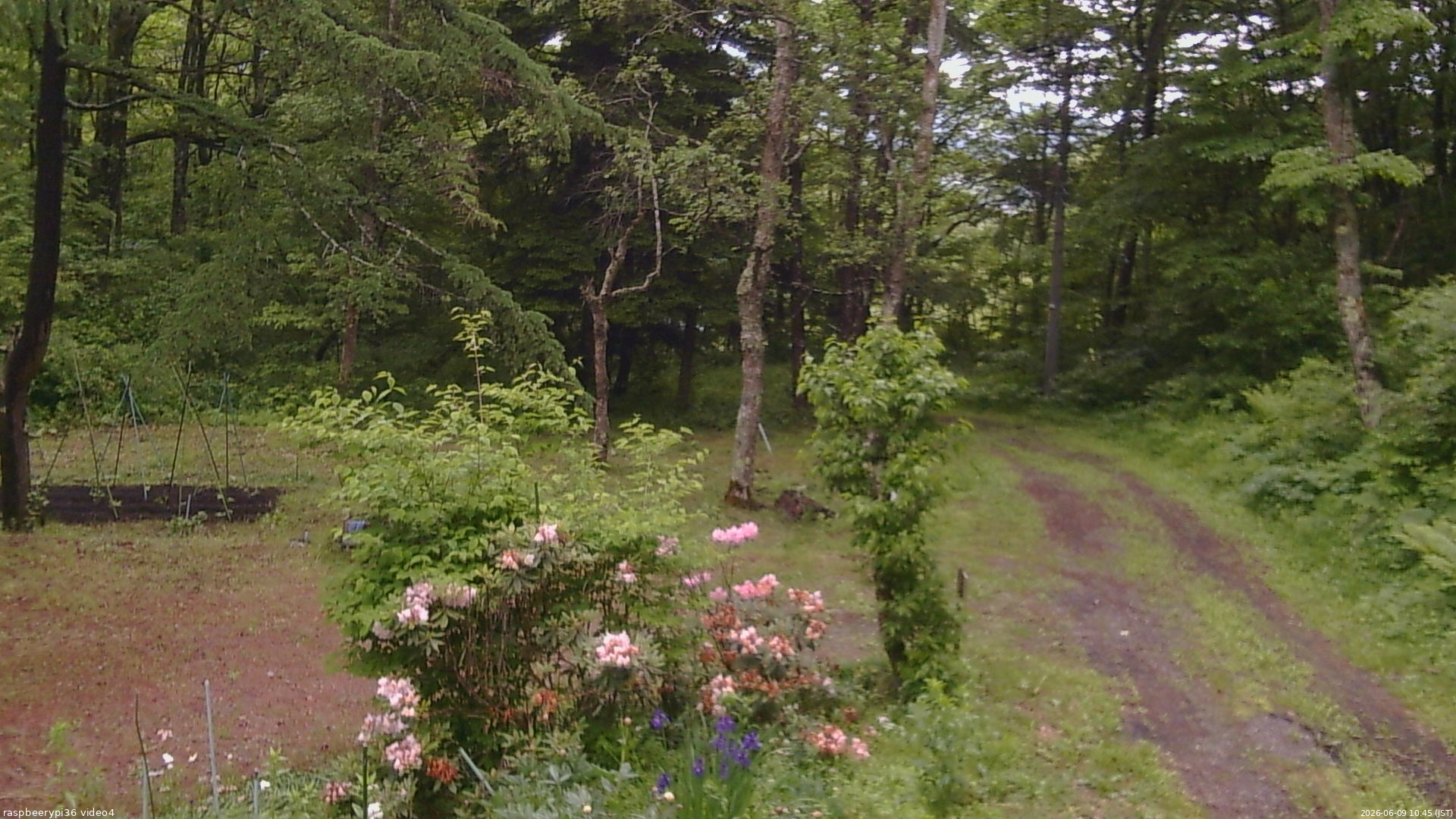 長野県菅平高原 ゆたか山荘 坂上 2026/06/09 10:45