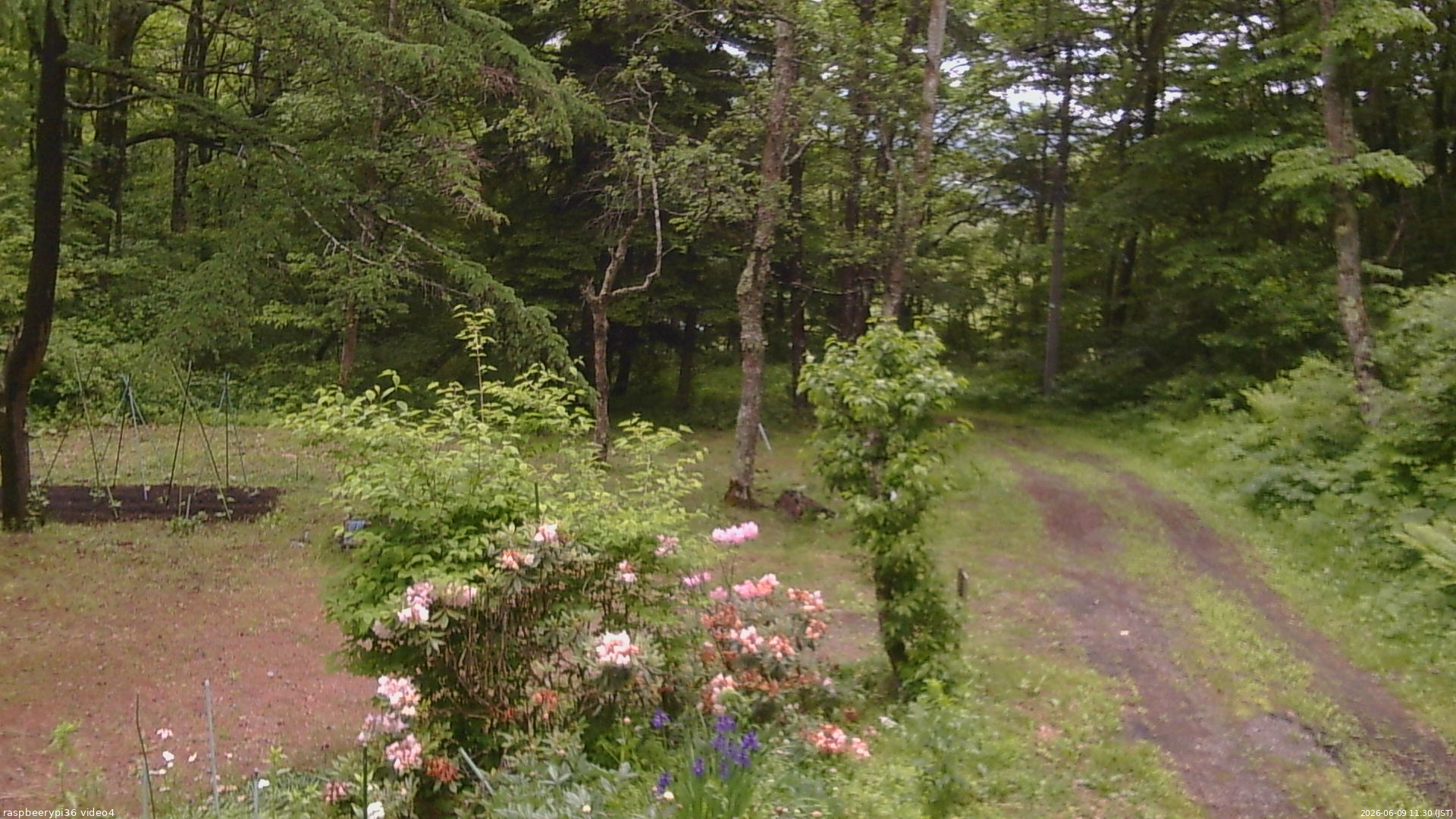 長野県菅平高原 ゆたか山荘 坂上 2026/06/09 11:30