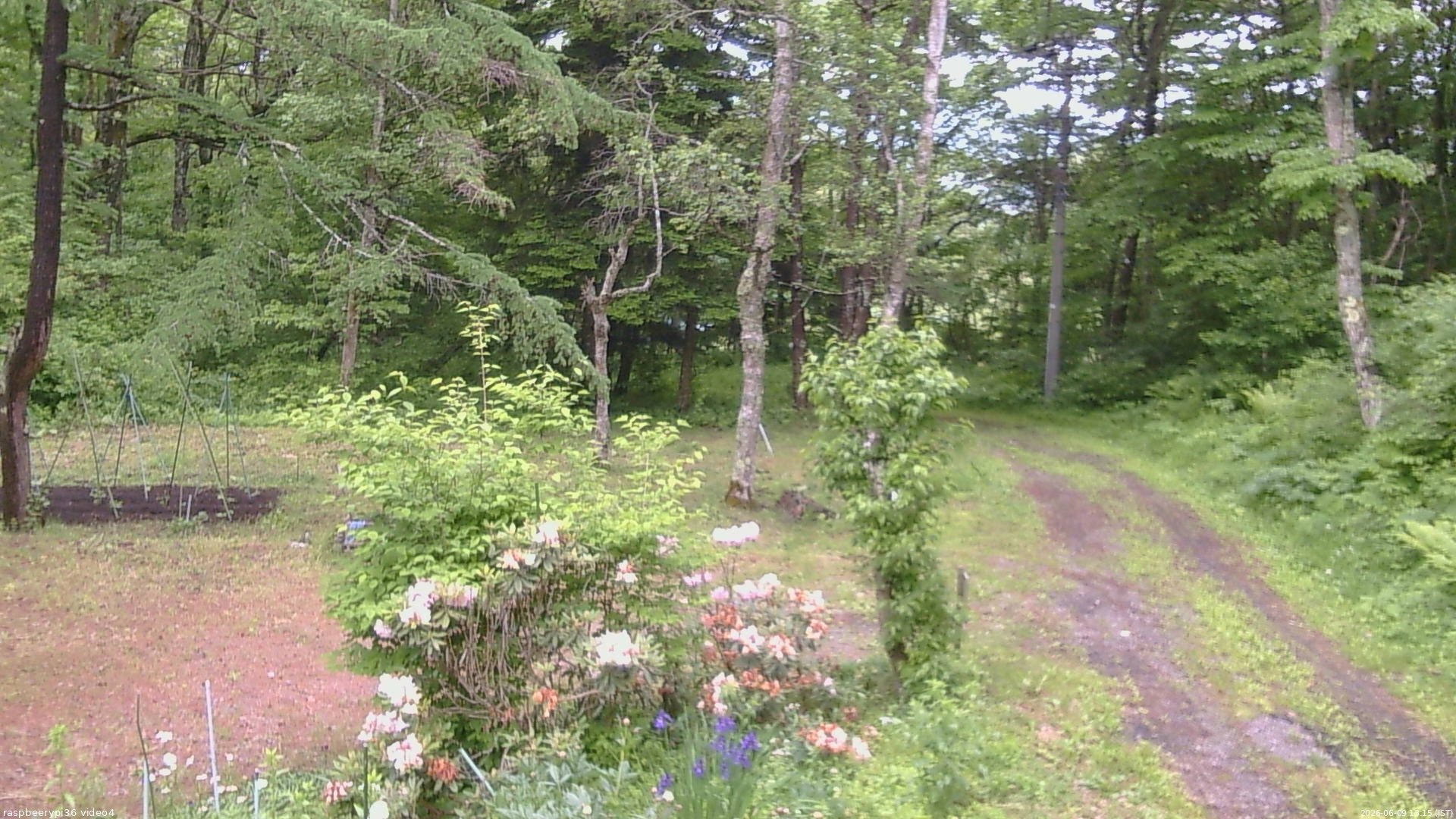長野県菅平高原 ゆたか山荘 坂上 2026/06/09 13:15