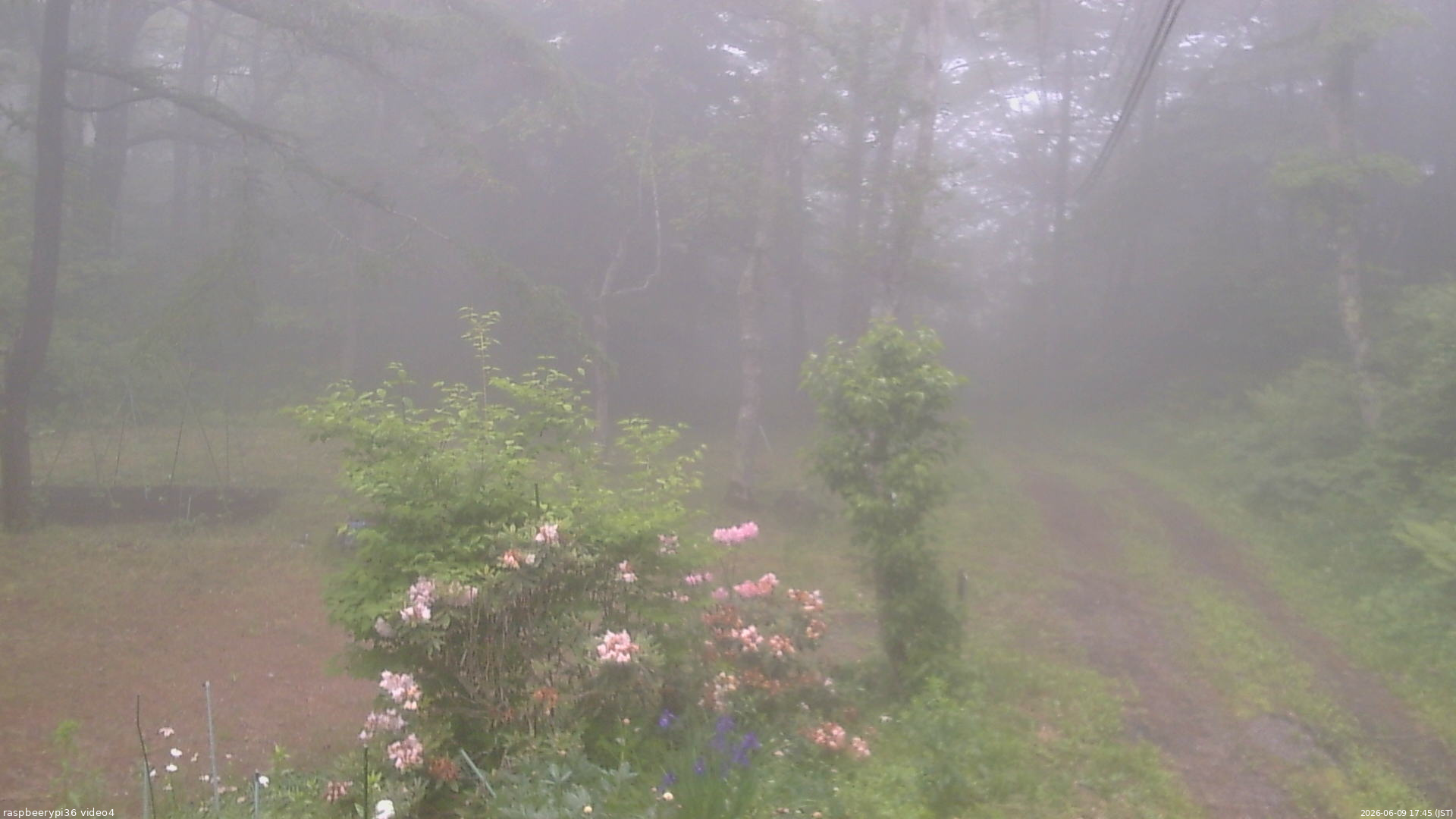 長野県菅平高原 ゆたか山荘 坂上 2026/06/09 17:45